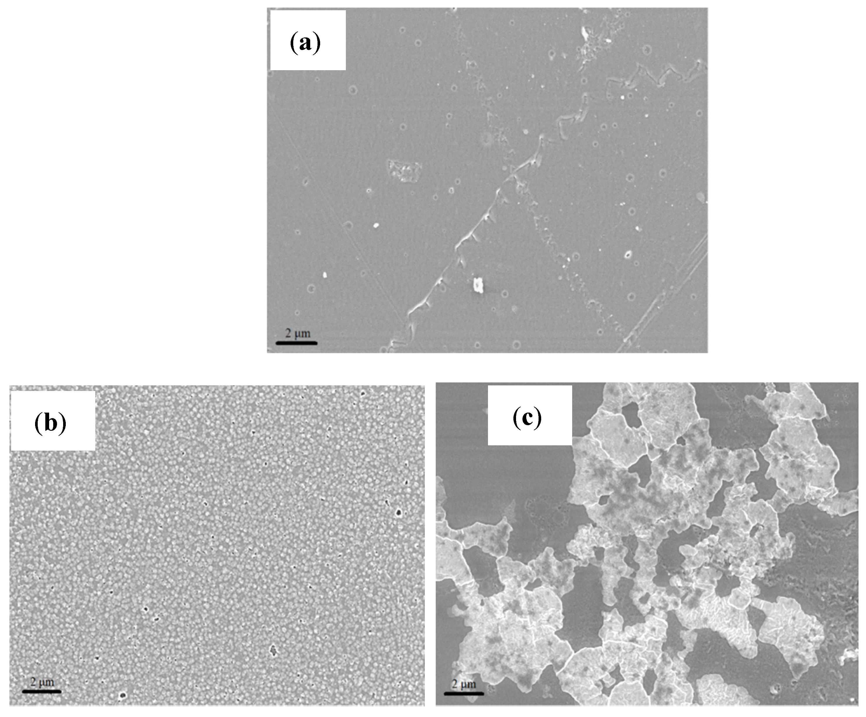 Membranes 11 00395 g002a