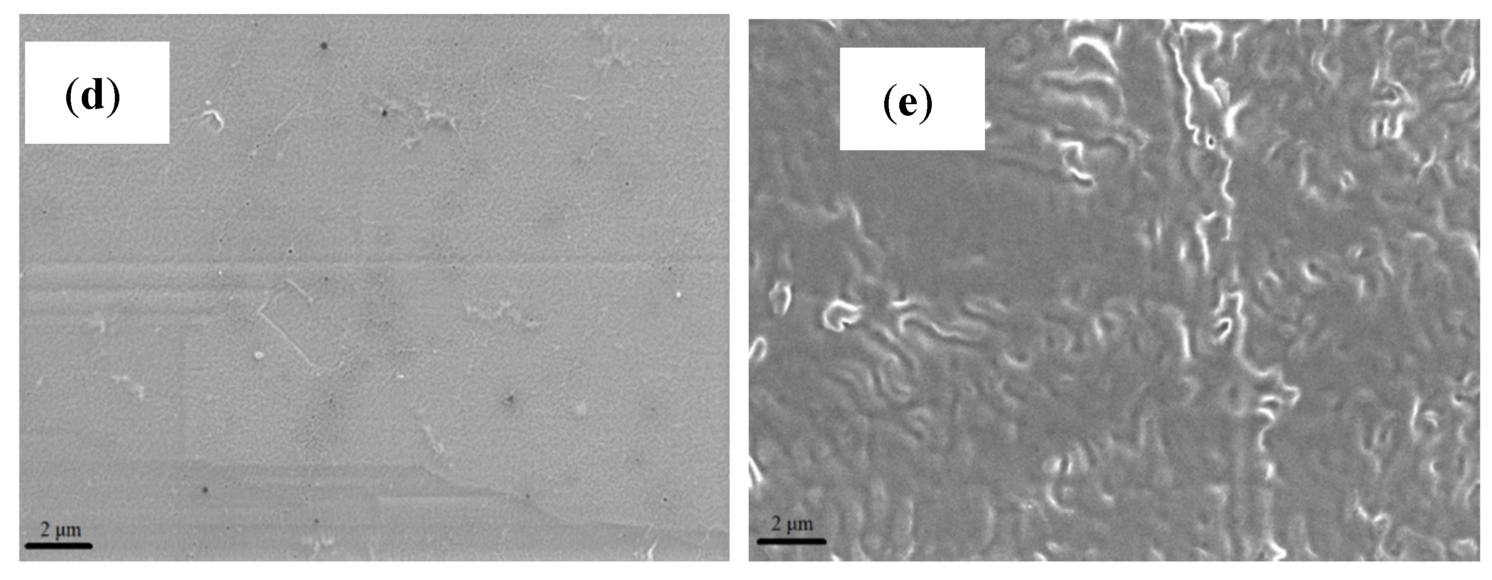Membranes 11 00395 g002b