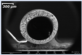 Membranes 11 00396 i001 Membranes 11 00396 i001