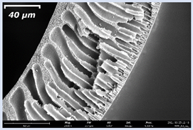 Membranes 11 00396 i002 Membranes 11 00396 i002