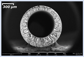 Membranes 11 00396 i003 Membranes 11 00396 i003