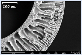 Membranes 11 00396 i004 Membranes 11 00396 i004