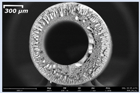 Membranes 11 00396 i005 Membranes 11 00396 i005