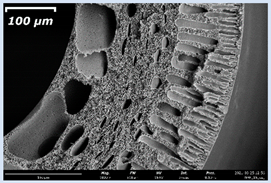 Membranes 11 00396 i006 Membranes 11 00396 i006