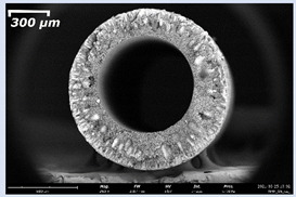 Membranes 11 00396 i007 Membranes 11 00396 i007