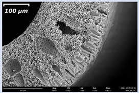 Membranes 11 00396 i008 Membranes 11 00396 i008