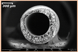 Membranes 11 00396 i009 Membranes 11 00396 i009