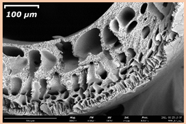 Membranes 11 00396 i010 Membranes 11 00396 i010