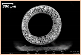 Membranes 11 00396 i011 Membranes 11 00396 i011