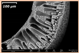 Membranes 11 00396 i012 Membranes 11 00396 i012
