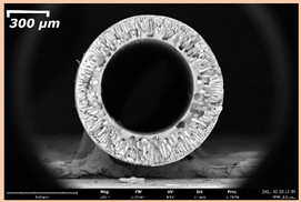 Membranes 11 00396 i013 Membranes 11 00396 i013
