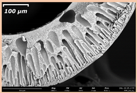 Membranes 11 00396 i014 Membranes 11 00396 i014