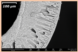 Membranes 11 00396 i016 Membranes 11 00396 i016