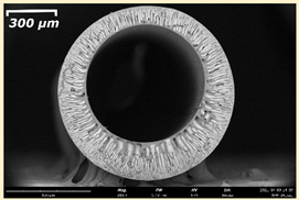 Membranes 11 00396 i017 Membranes 11 00396 i017
