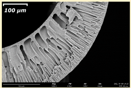 Membranes 11 00396 i018 Membranes 11 00396 i018
