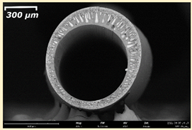 Membranes 11 00396 i019 Membranes 11 00396 i019