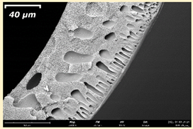 Membranes 11 00396 i020 Membranes 11 00396 i020