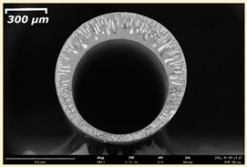 Membranes 11 00396 i021 Membranes 11 00396 i021