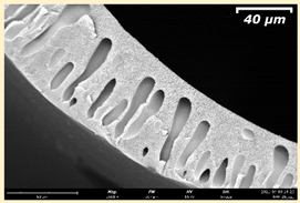 Membranes 11 00396 i022 Membranes 11 00396 i022