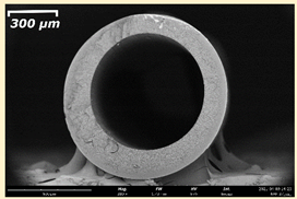 Membranes 11 00396 i023 Membranes 11 00396 i023