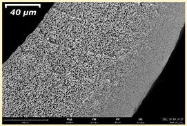 Membranes 11 00396 i024 Membranes 11 00396 i024
