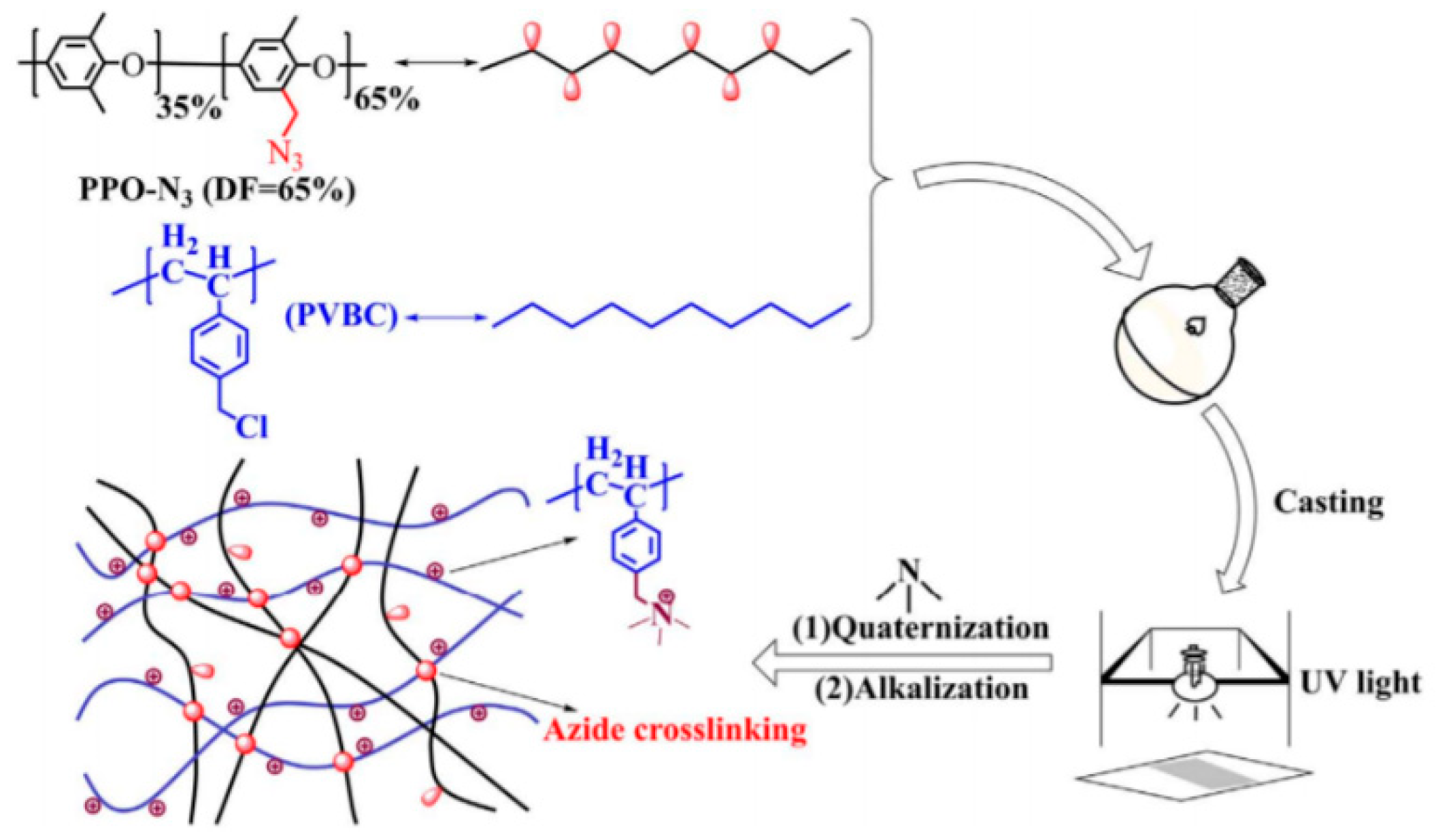Membranes 11 00397 g002