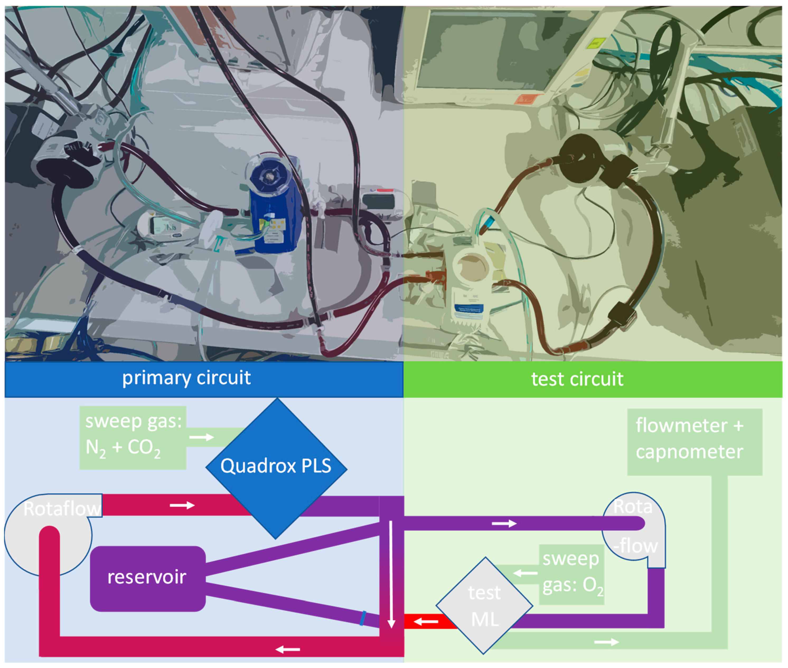 Membranes 11 00398 g001