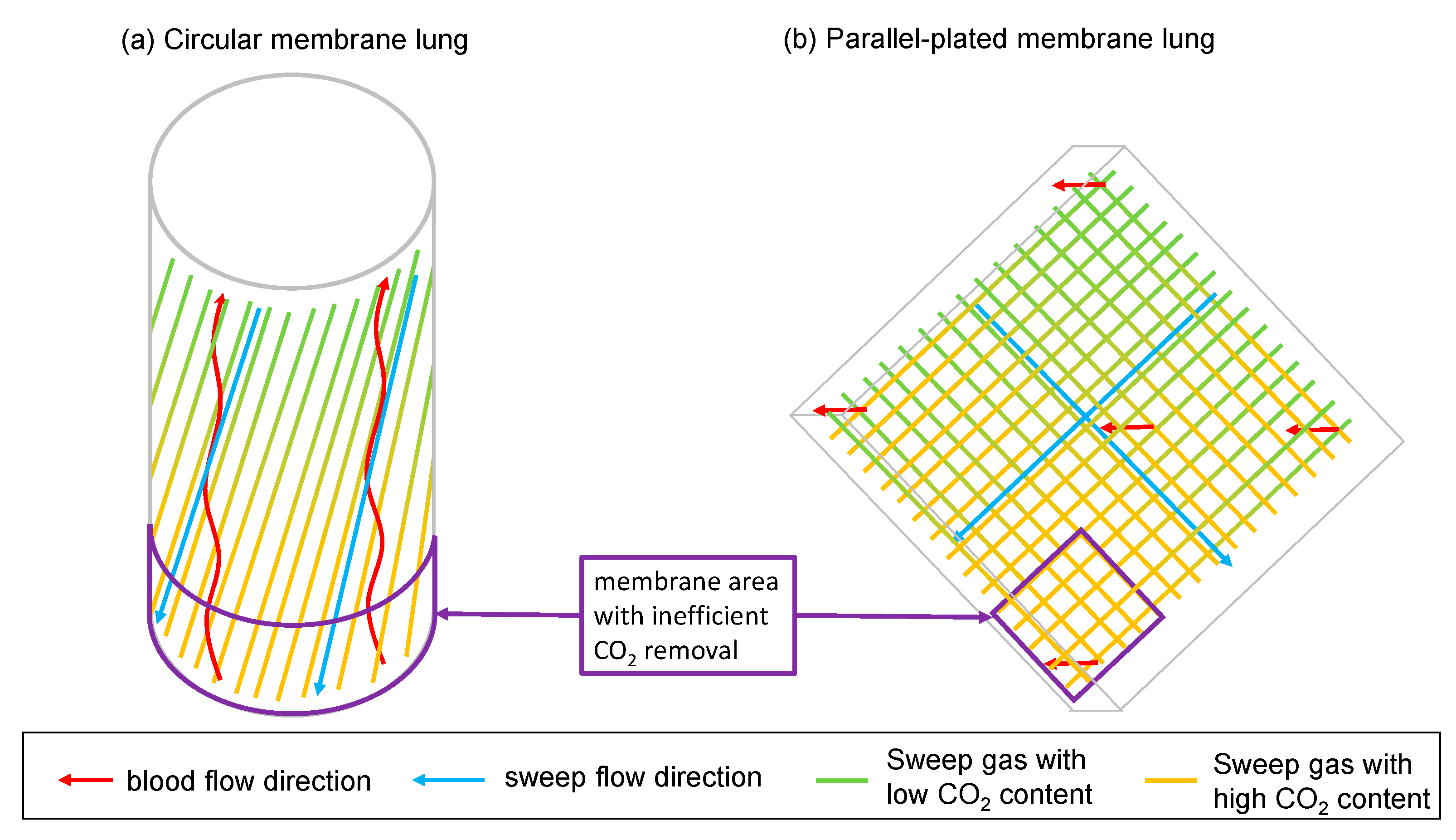 Membranes 11 00398 g008