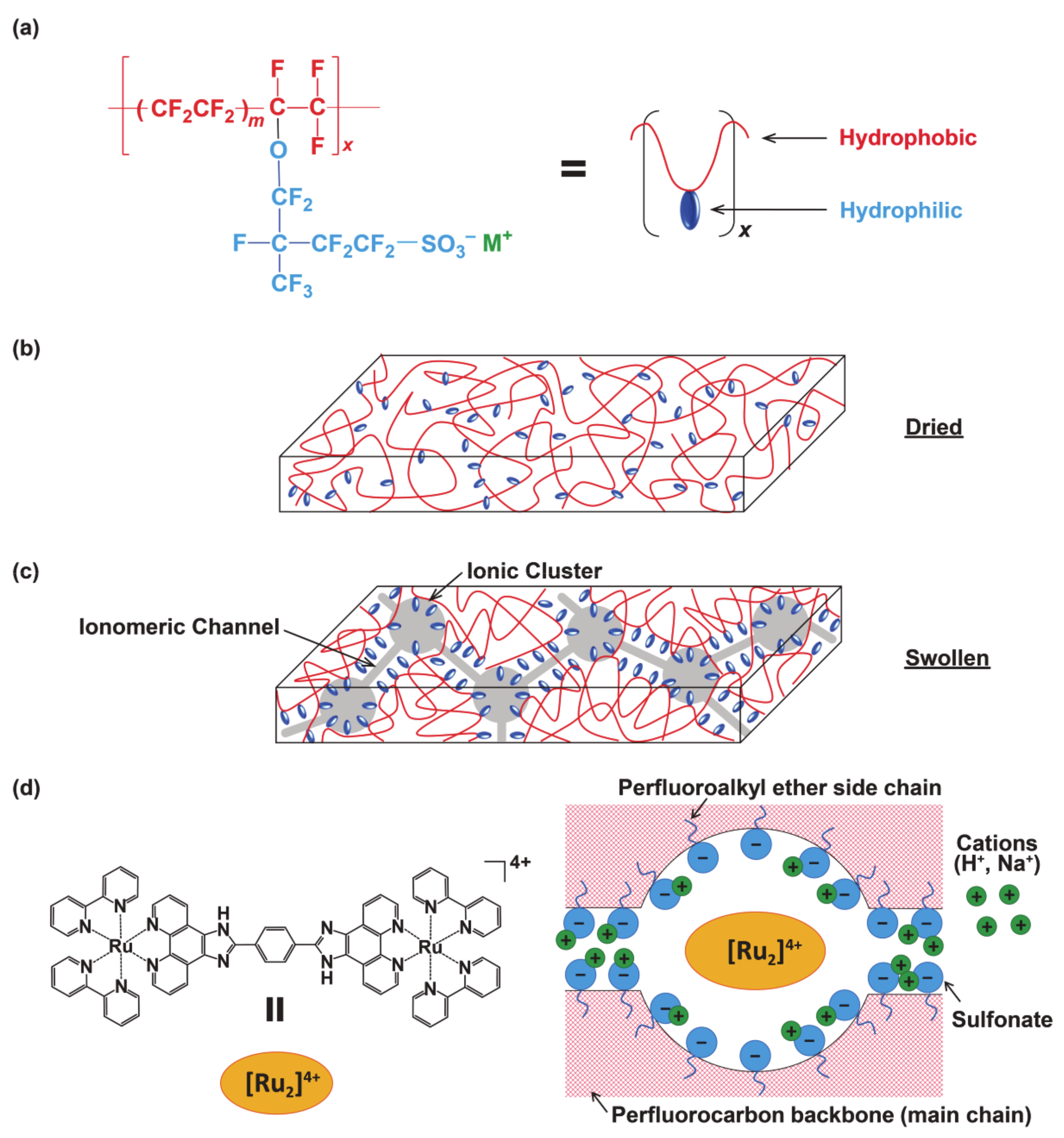 Membranes 11 00400 g001 Membranes 11 00400 g001