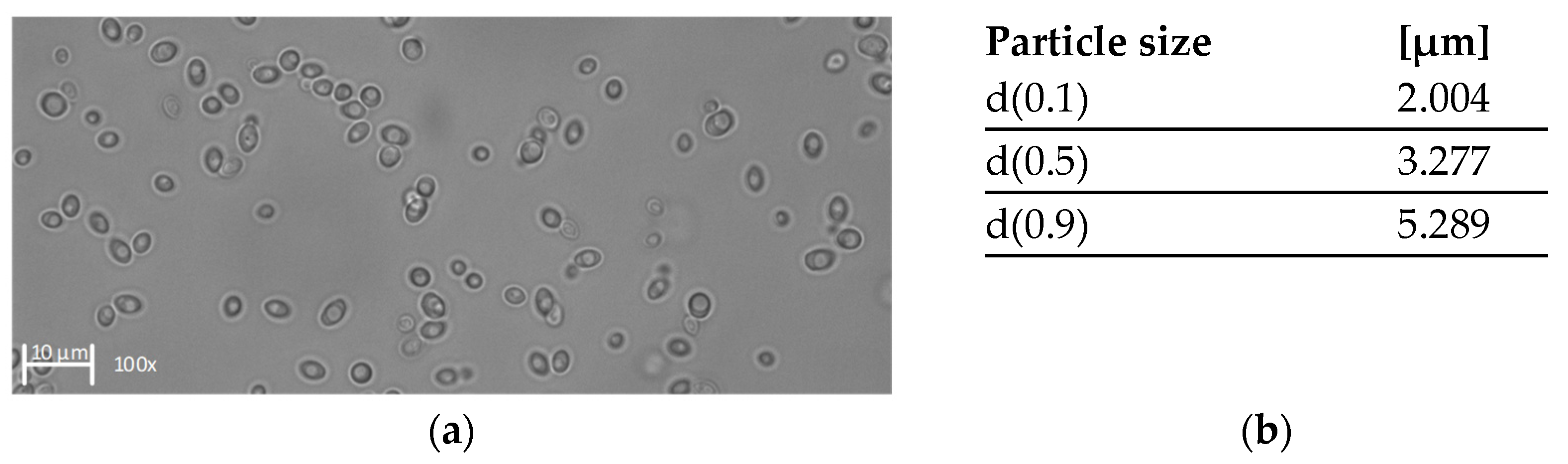 Membranes 11 00402 g002 Membranes 11 00402 g002
