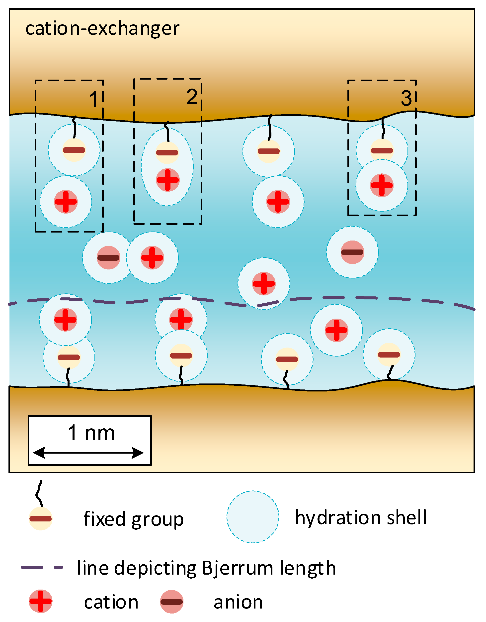 Membranes 11 00406 g001