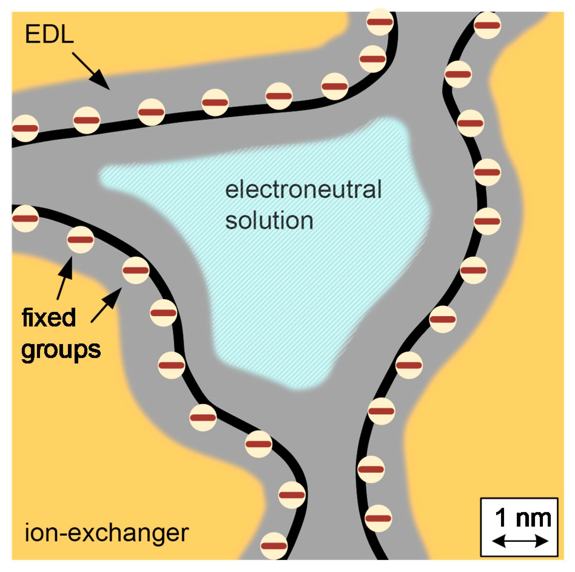 Membranes 11 00406 g002