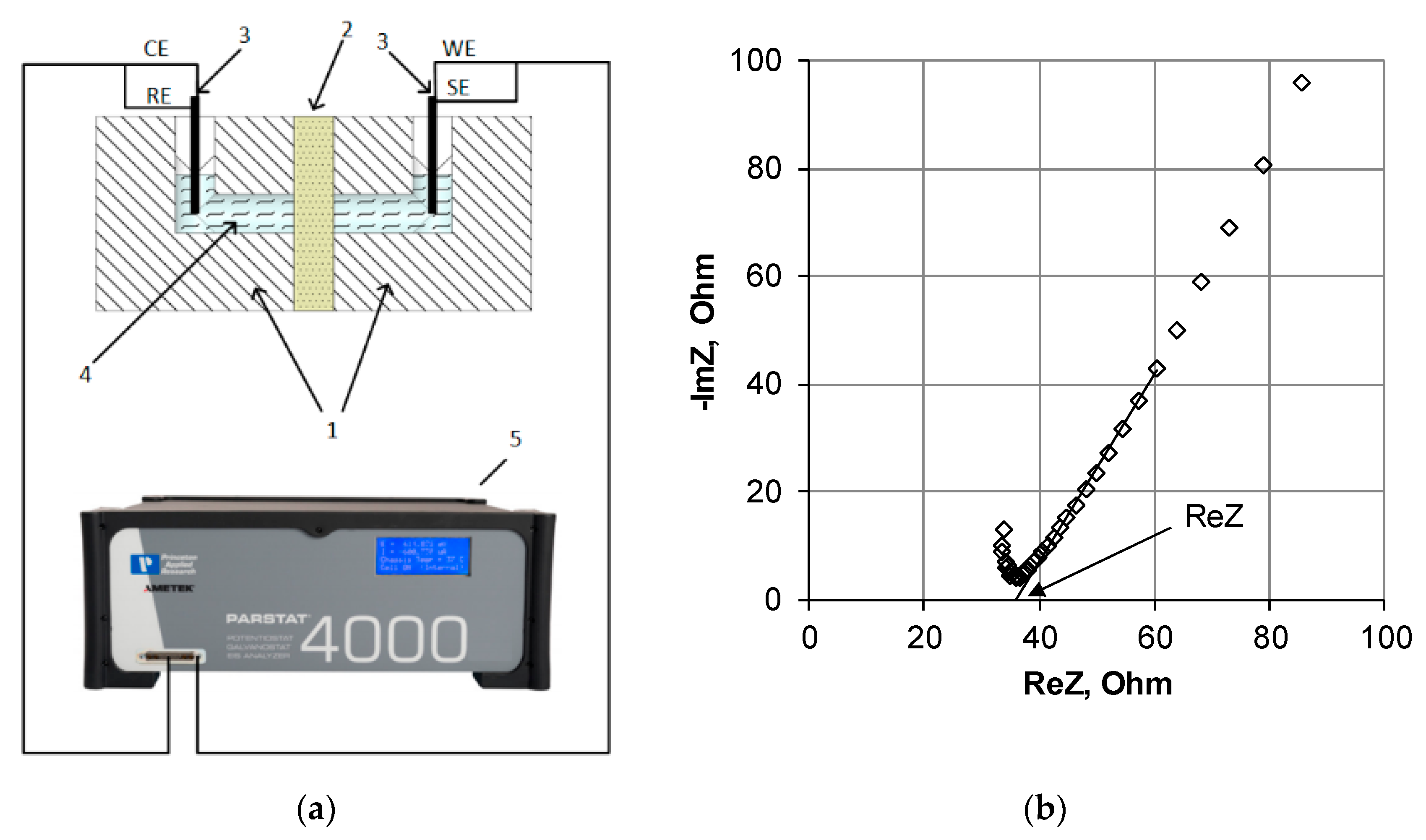 Membranes 11 00406 g003