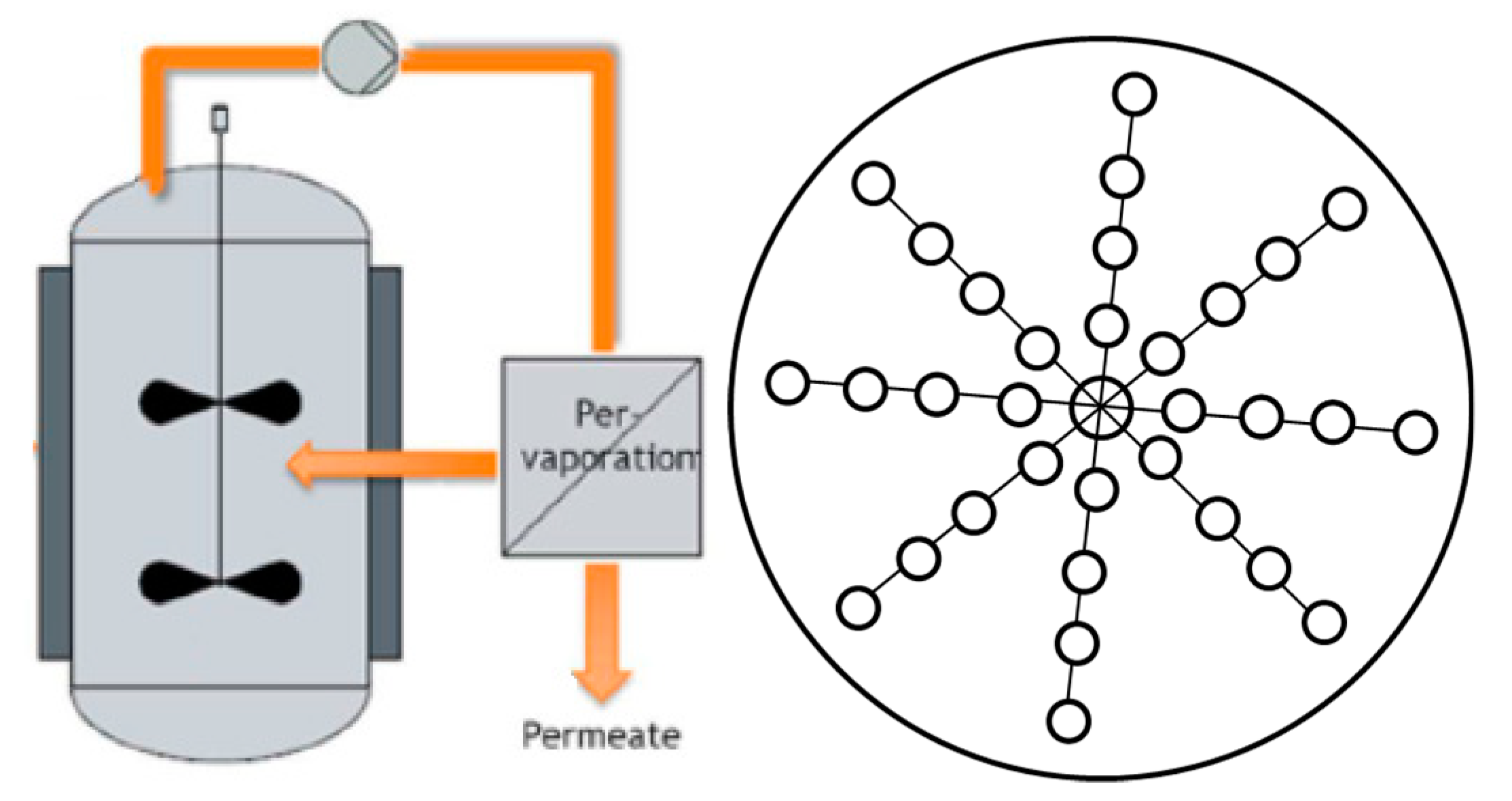 Membranes 11 00407 g008