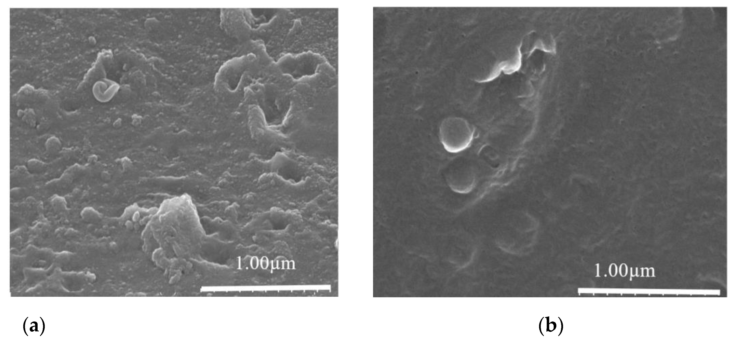 Membranes 11 00408 g009a Membranes 11 00408 g009a