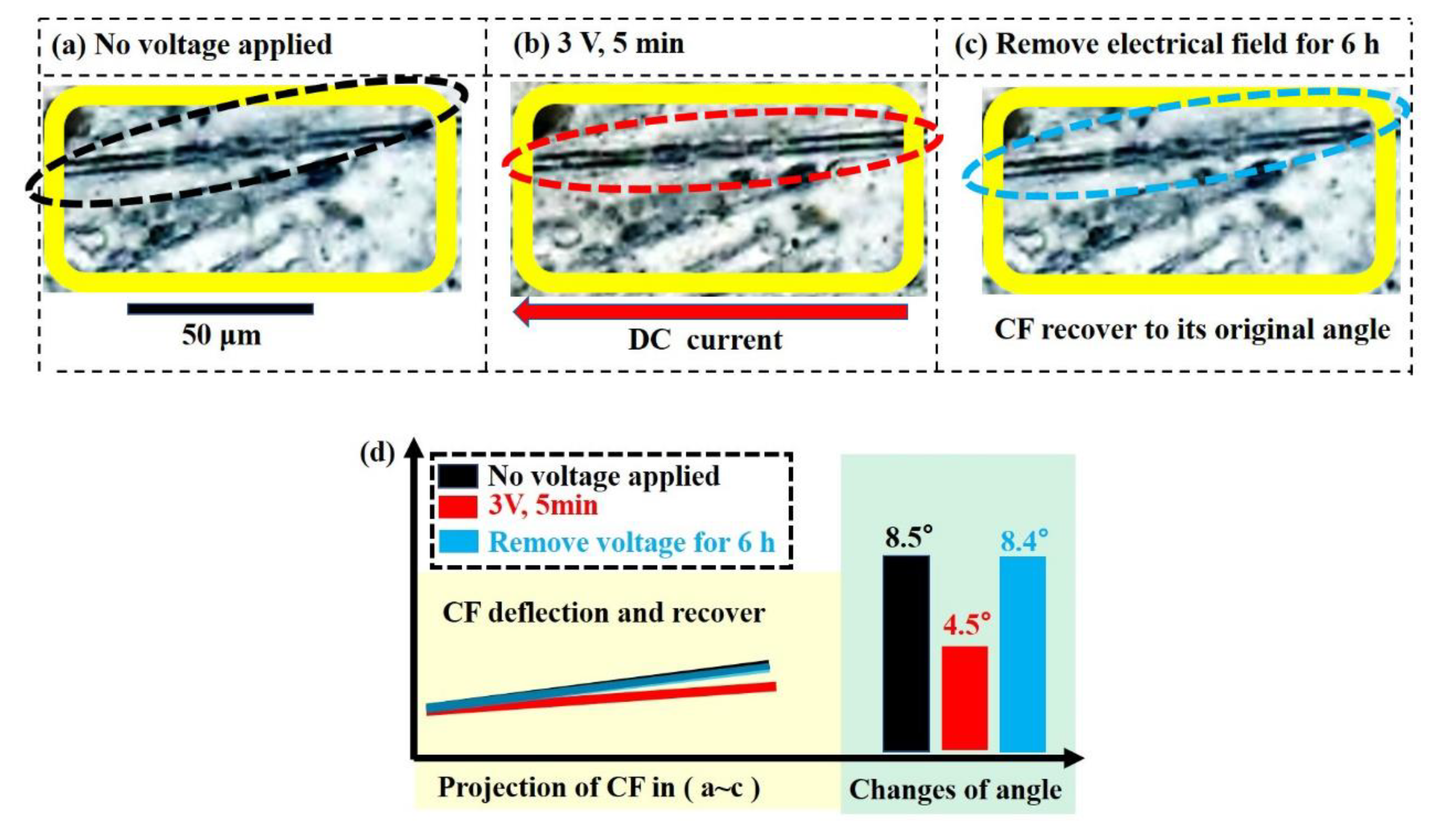 Membranes 11 00412 g004