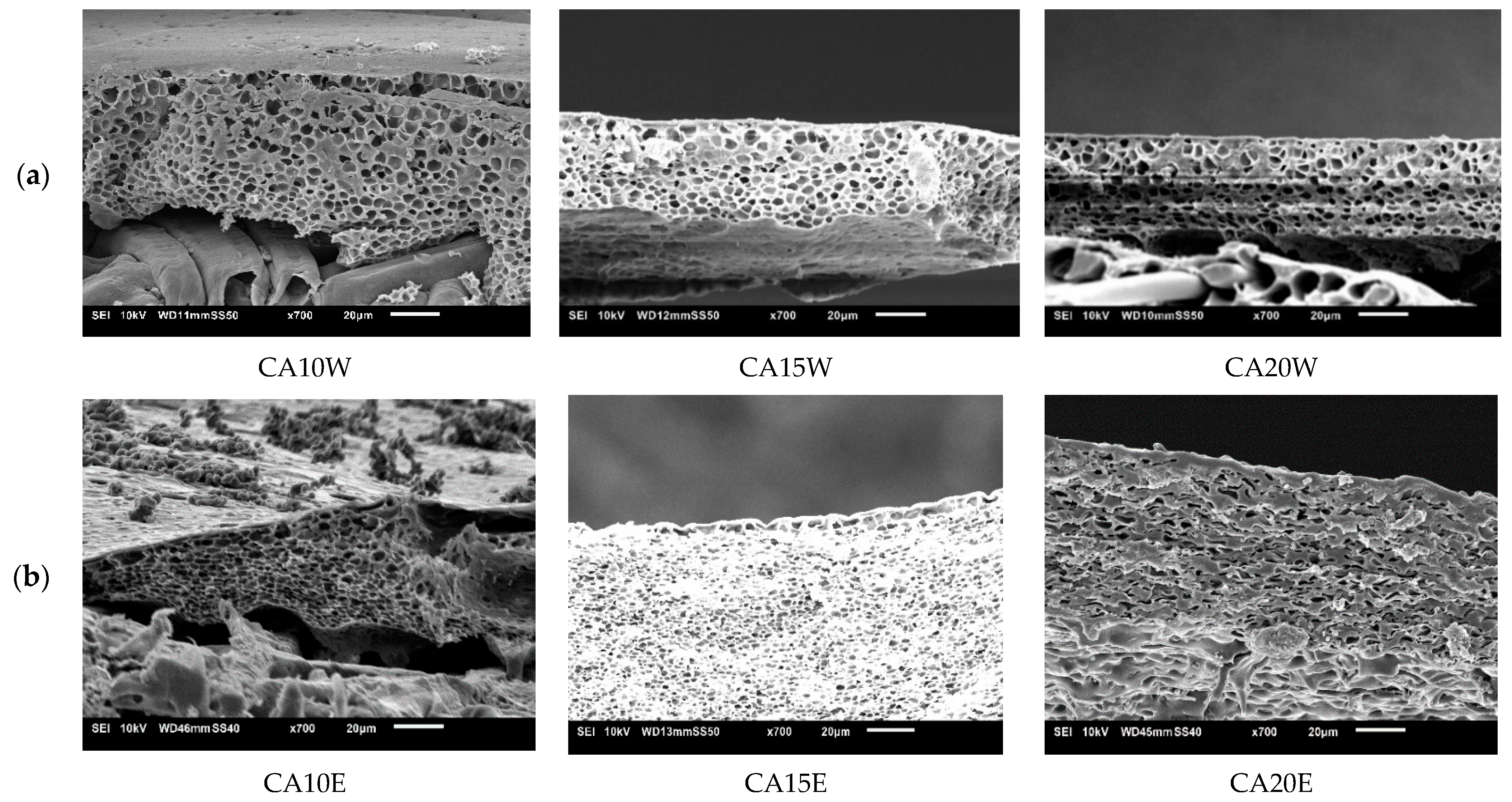 Membranes 11 00418 g005