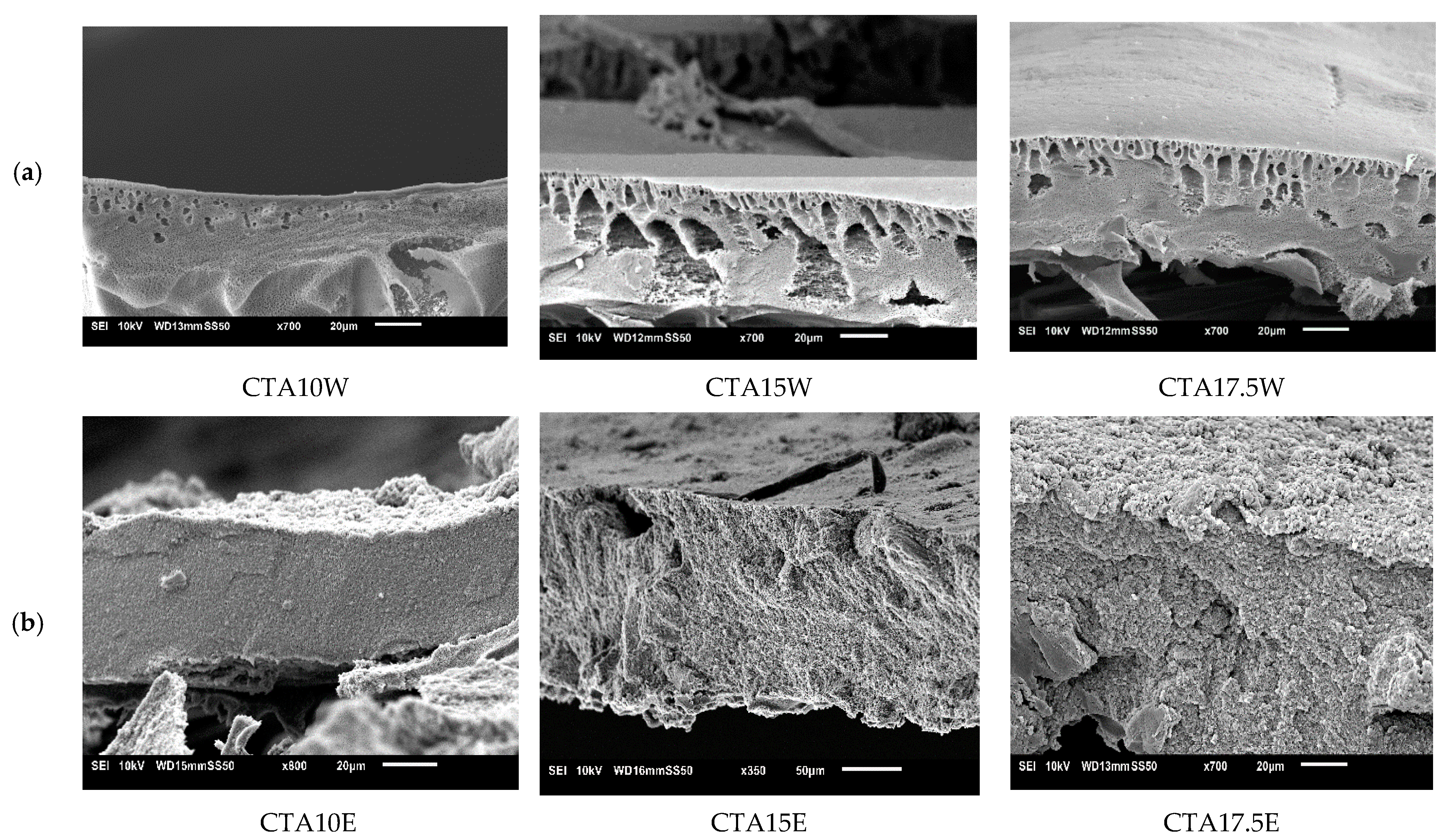 Membranes 11 00418 g007