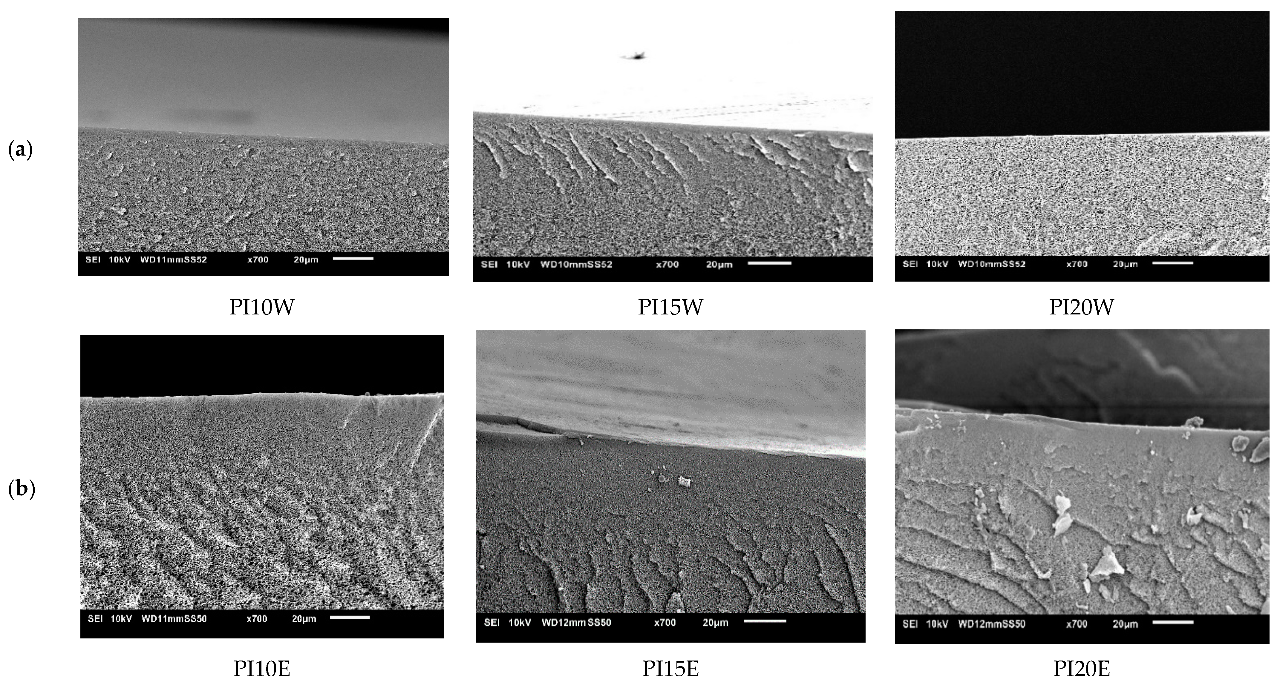 Membranes 11 00418 g009