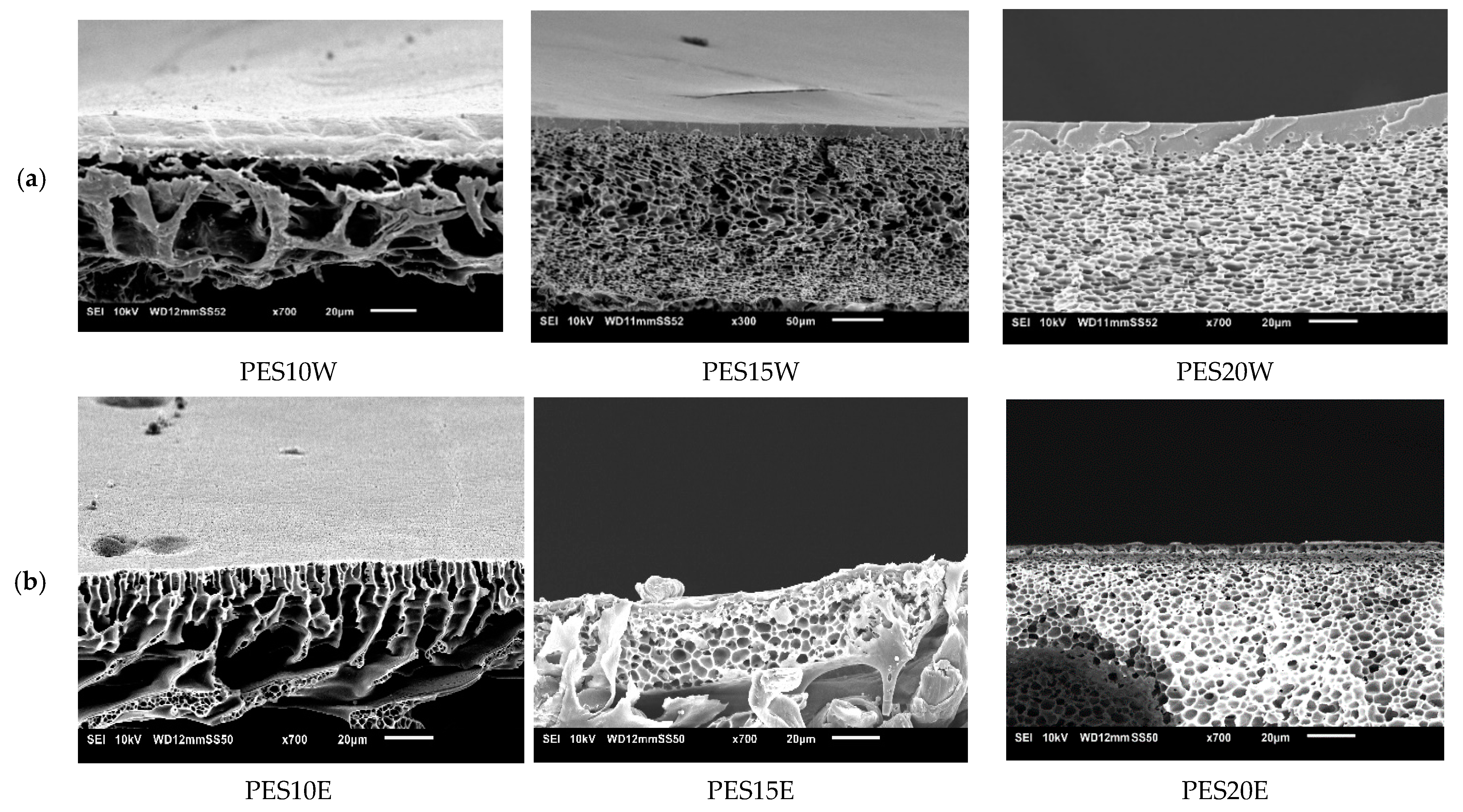 Membranes 11 00418 g011