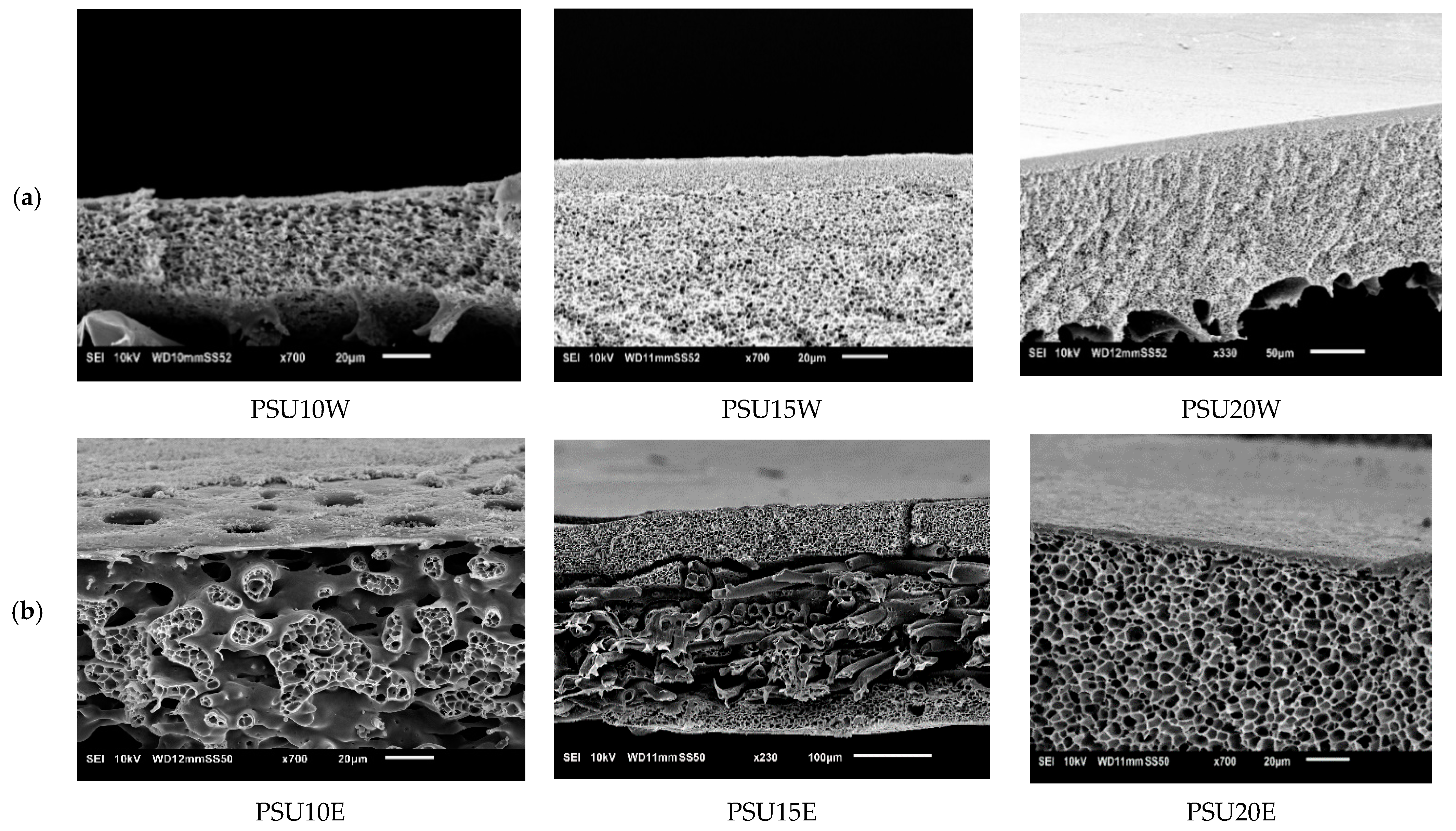 Membranes 11 00418 g013