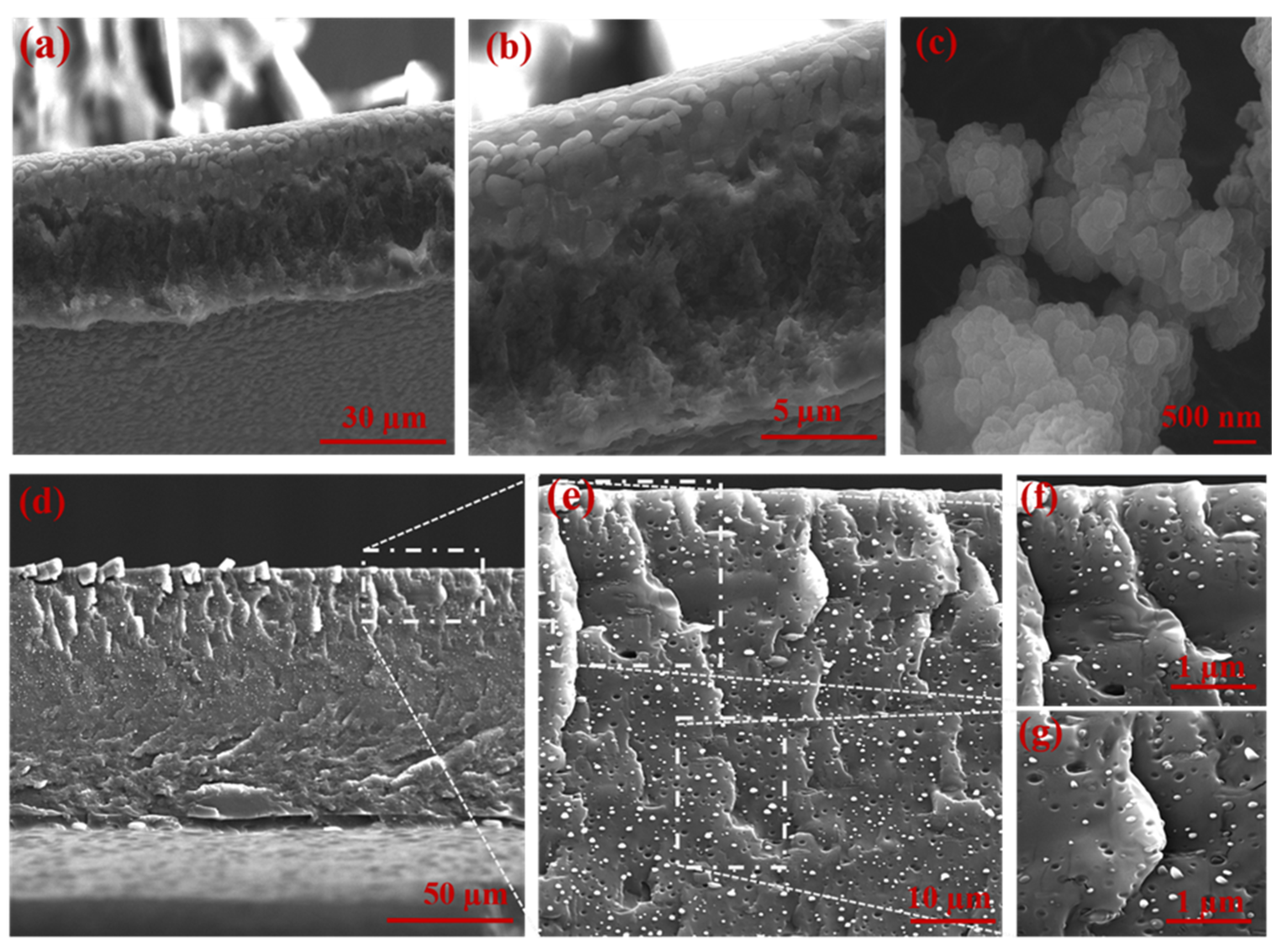 Membranes 11 00419 g002 Membranes 11 00419 g002