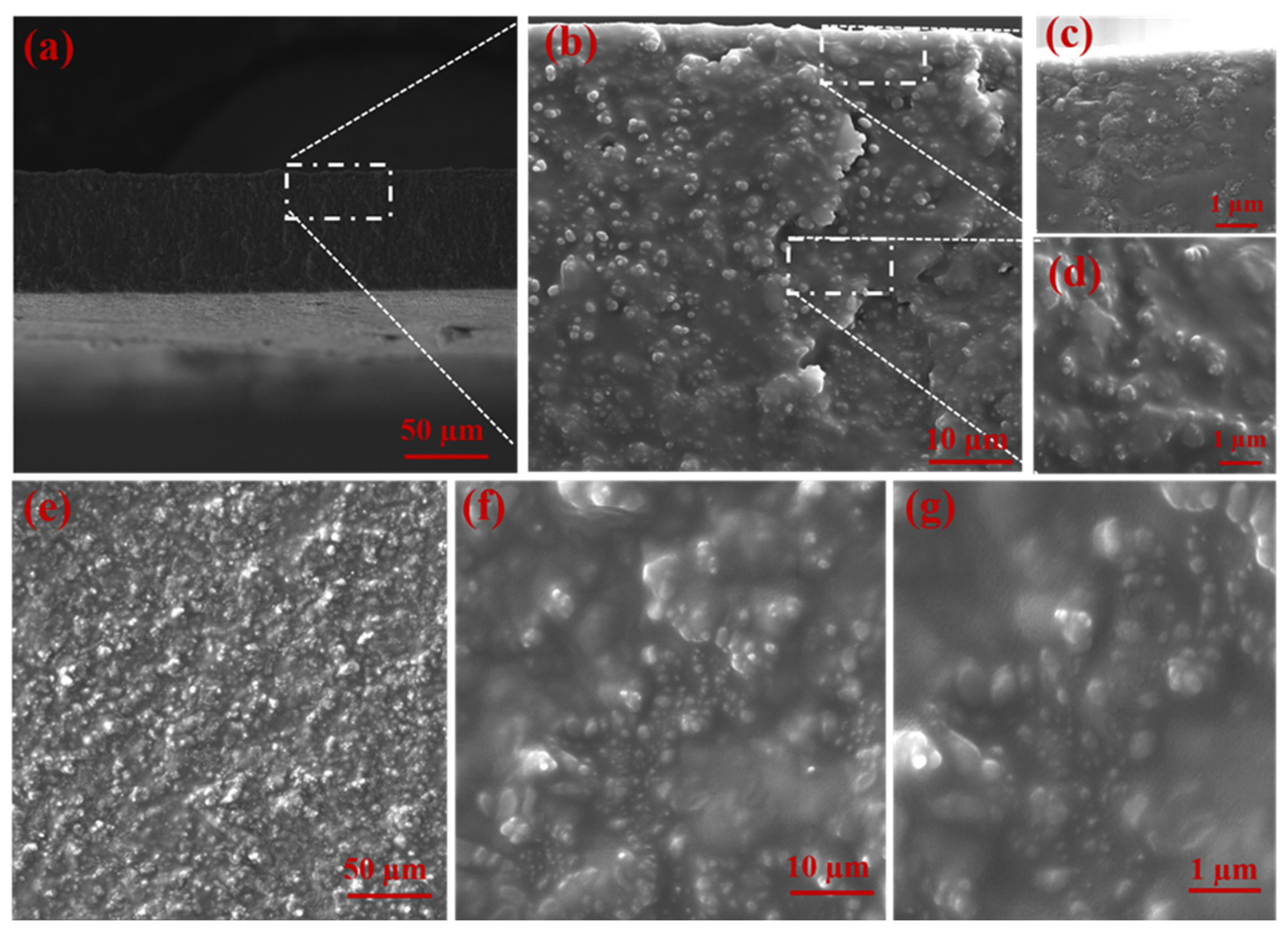 Membranes 11 00419 g003 Membranes 11 00419 g003