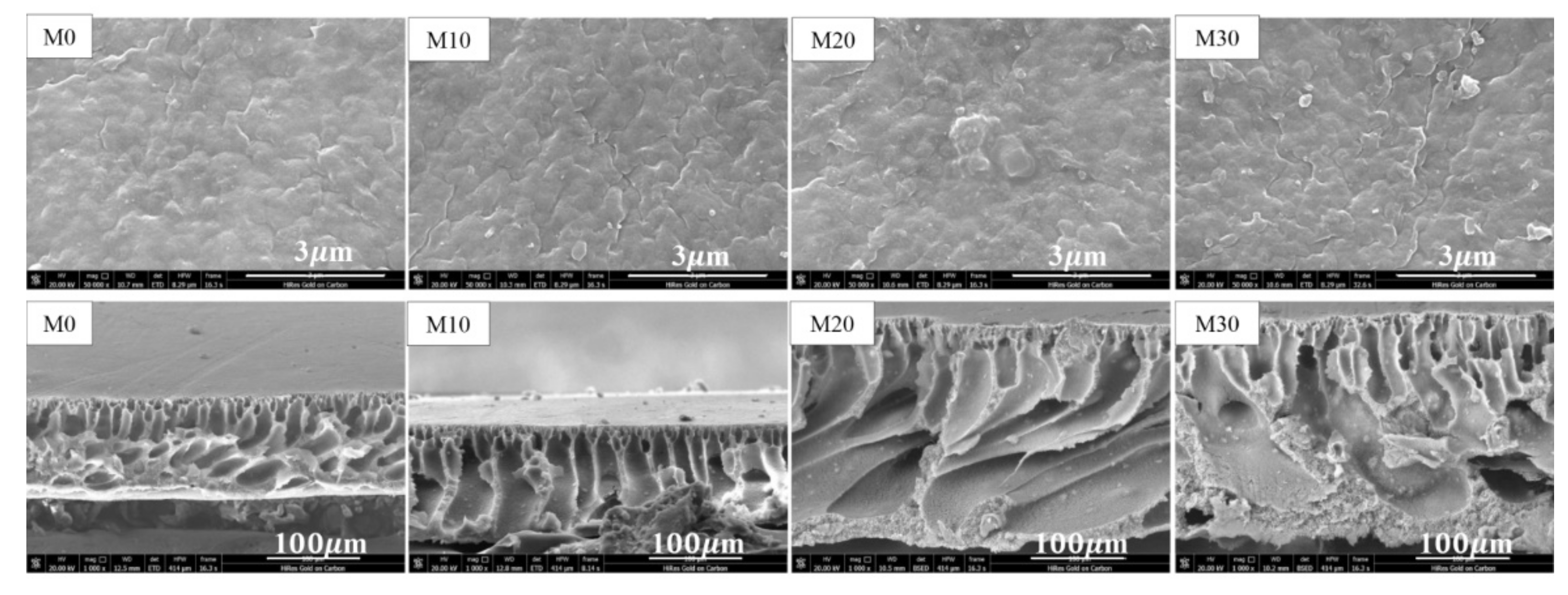 Membranes 11 00420 g001 550