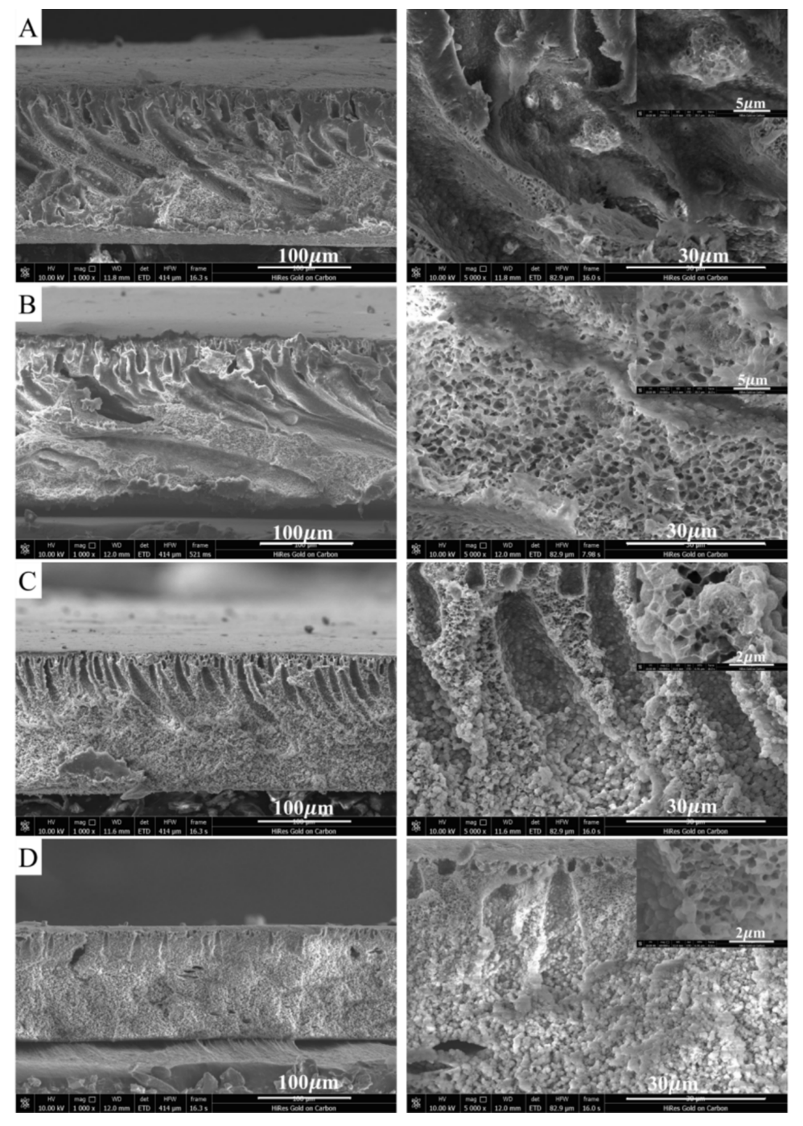 Membranes 11 00420 g002 550