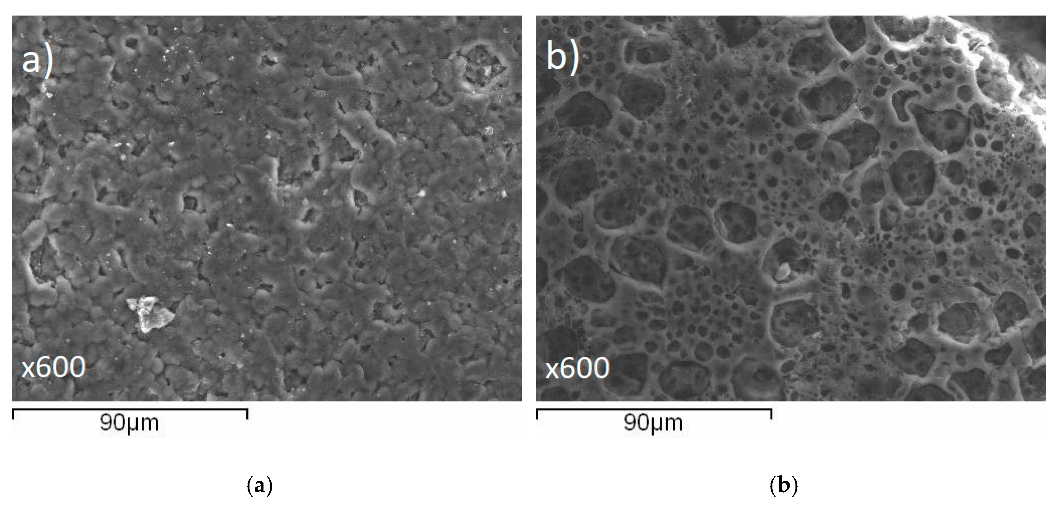 Membranes 11 00425 g009 Membranes 11 00425 g009