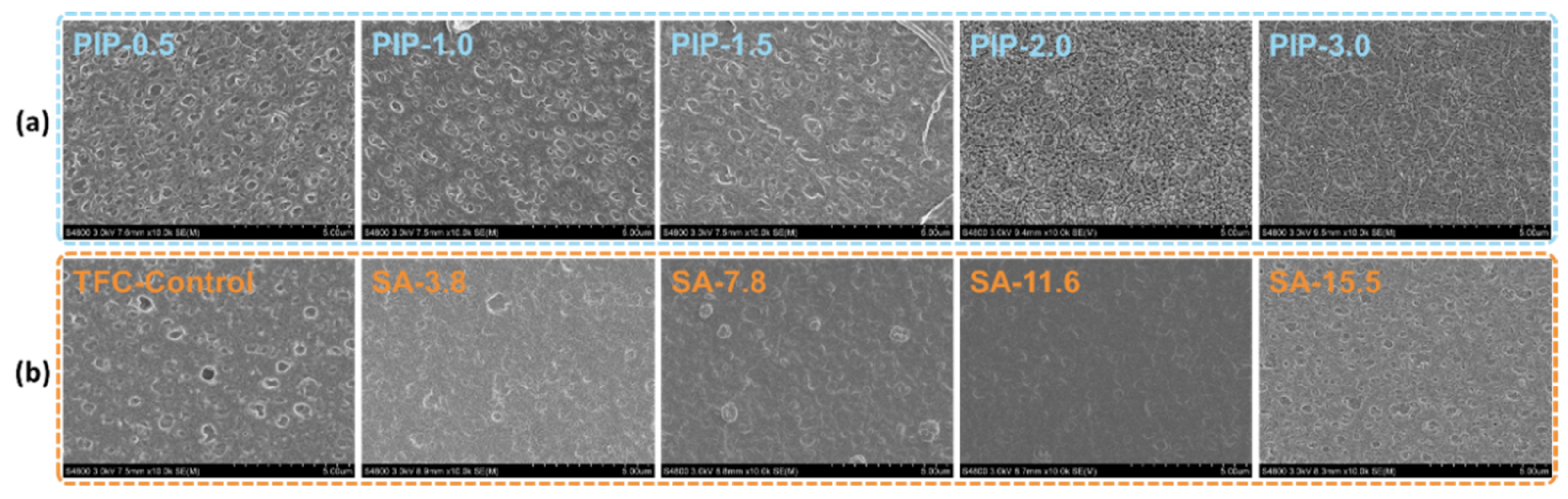 Membranes 11 00435 g002 Membranes 11 00435 g002