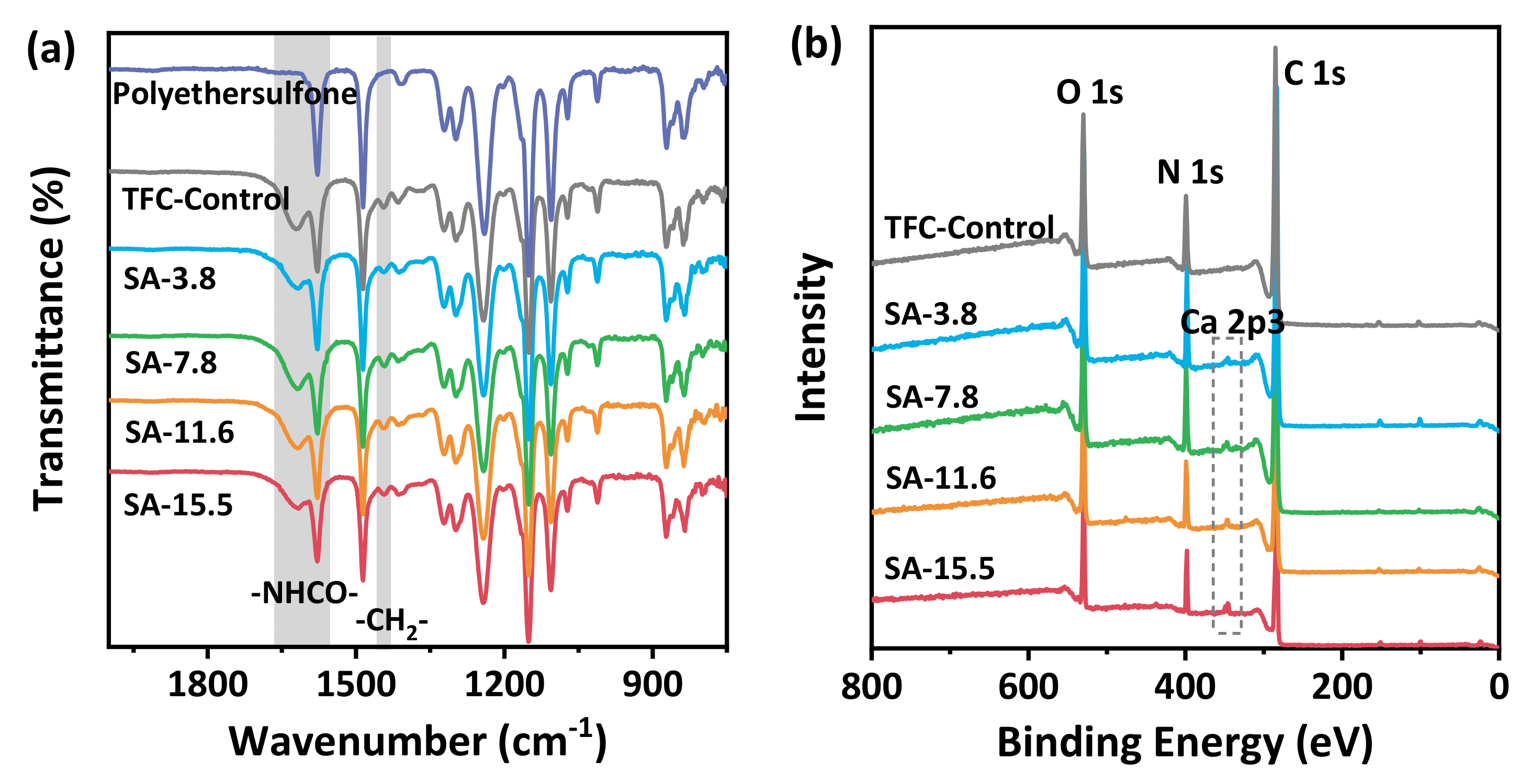 Membranes 11 00435 g004 Membranes 11 00435 g004