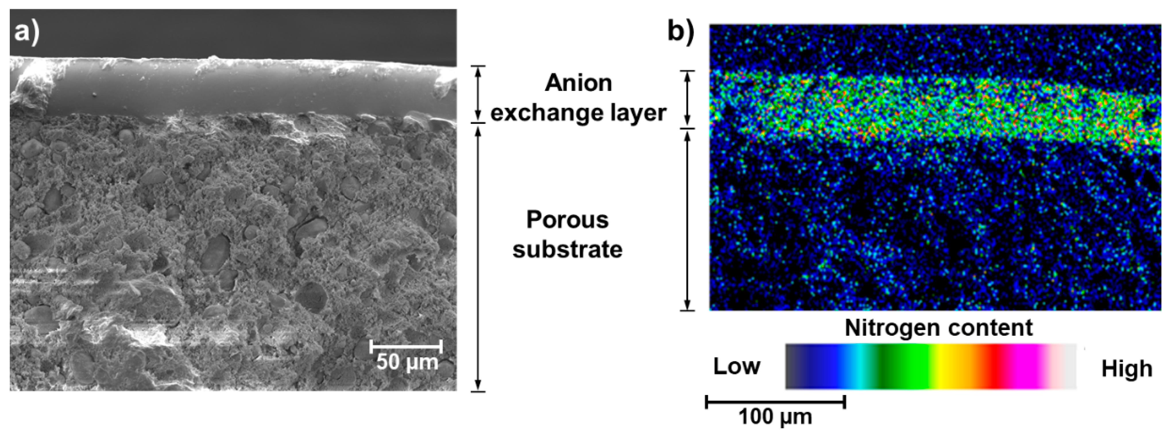 Membranes 11 00436 g003