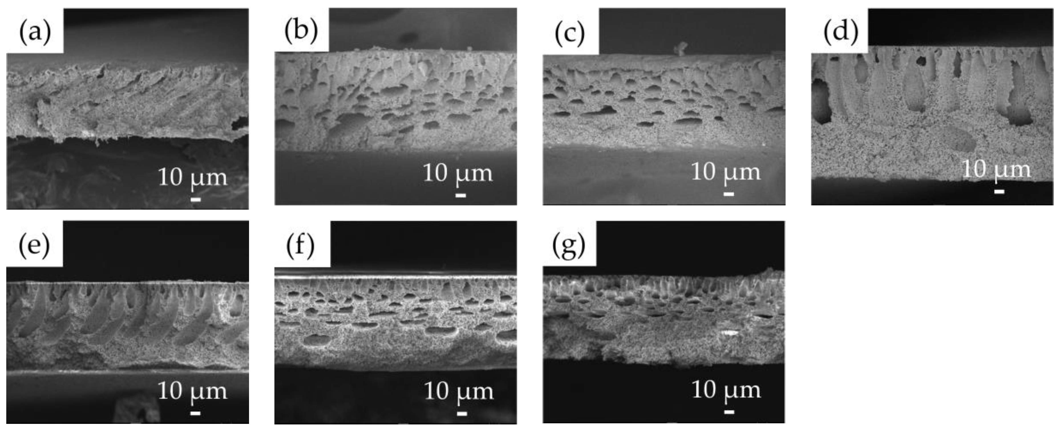 Membranes 11 00437 g005 Membranes 11 00437 g005